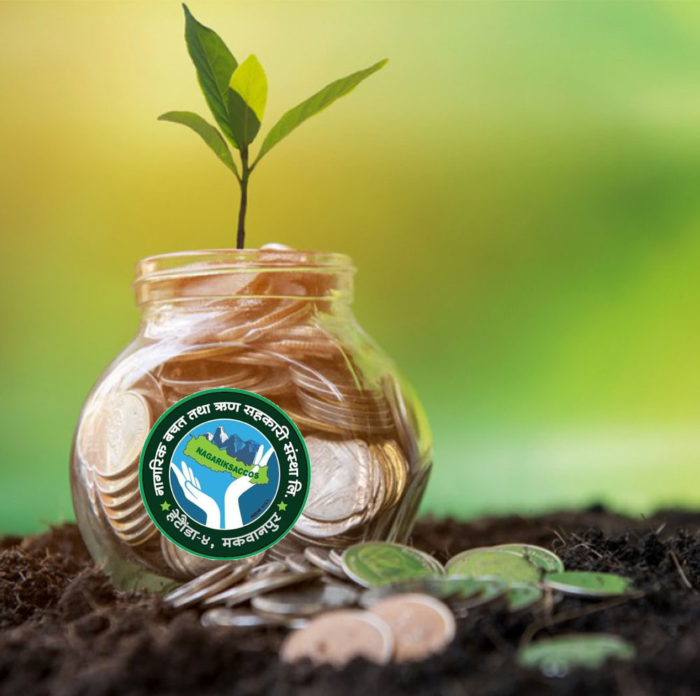 Free Website Template by Free-Template.co